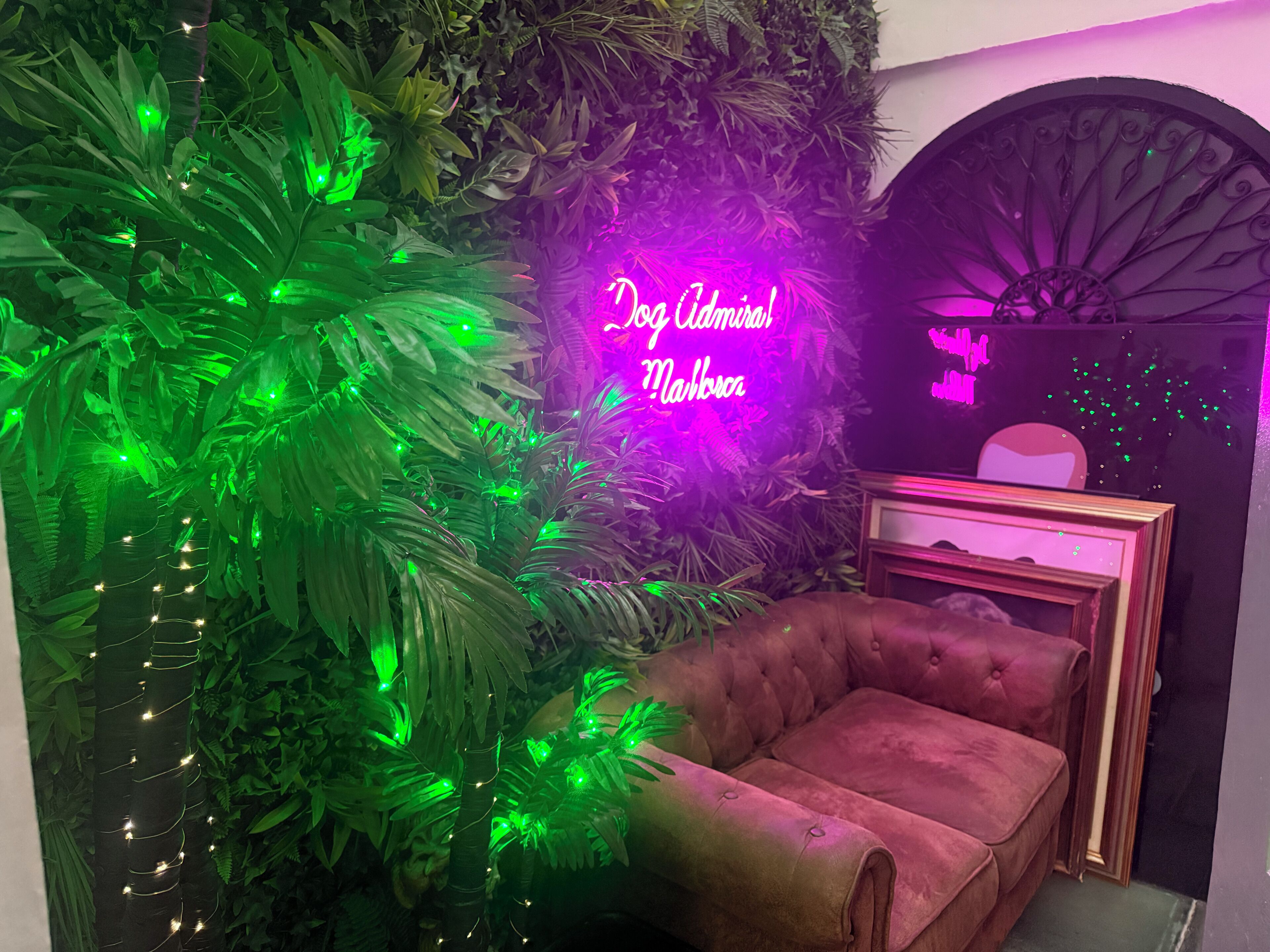 Suite – comfort | Utsikt fra rommet