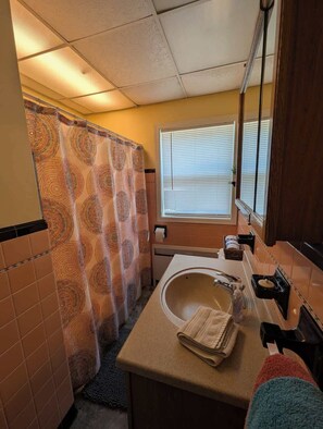 Shower, hair dryer, shampoo - Brick House on the River at Riverside Point Resort (Park Rapids)