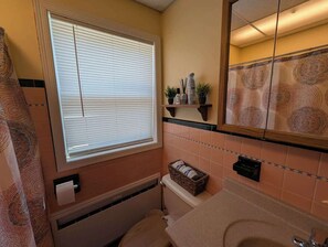 Shower, hair dryer, shampoo - Brick House on the River at Riverside Point Resort (Park Rapids)
