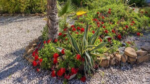 En vit byggnad med ett tak täckt av tegelpannor, omgiven av en trädgård med grusgångar, röda blommor och en palm.