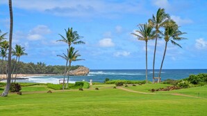 Un parcours de golf offrant une vue sur l’océan et les palmiers.