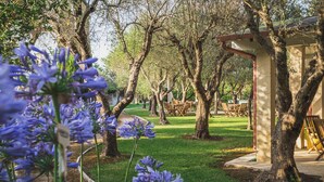 A garden with trees and a gazebo. - BIO AGRITURISMO SALOS (Otranto)