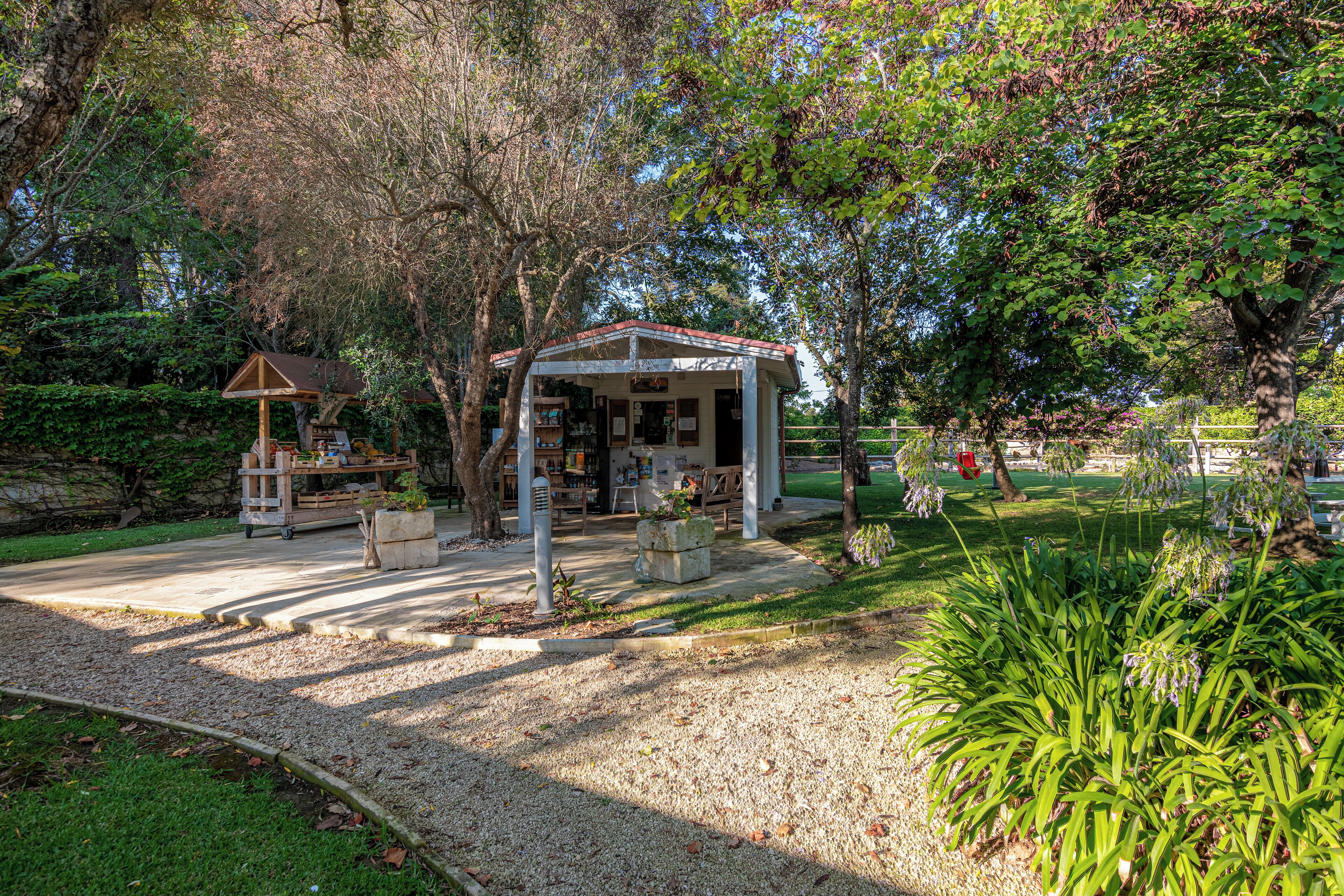 Giardino