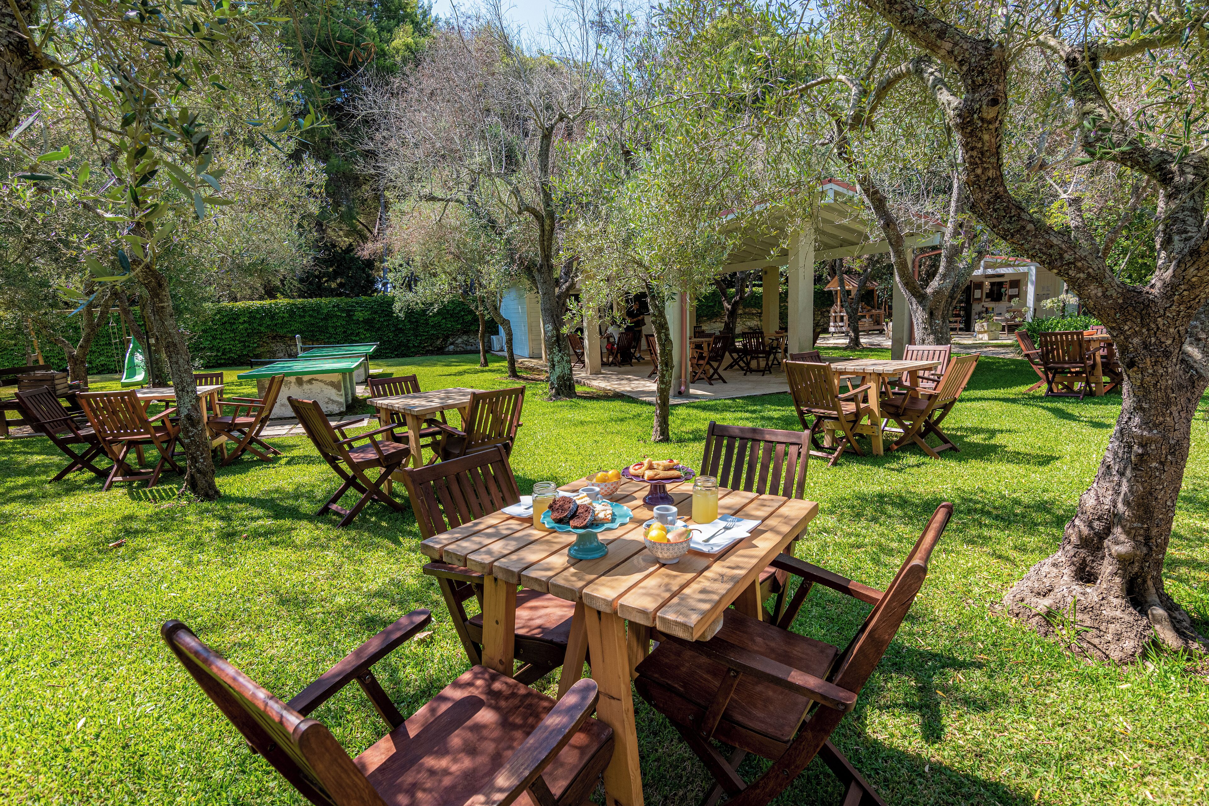 Un área de comedor al aire libre con mesas y sillas de madera, rodeada de árboles y un césped cuidado.