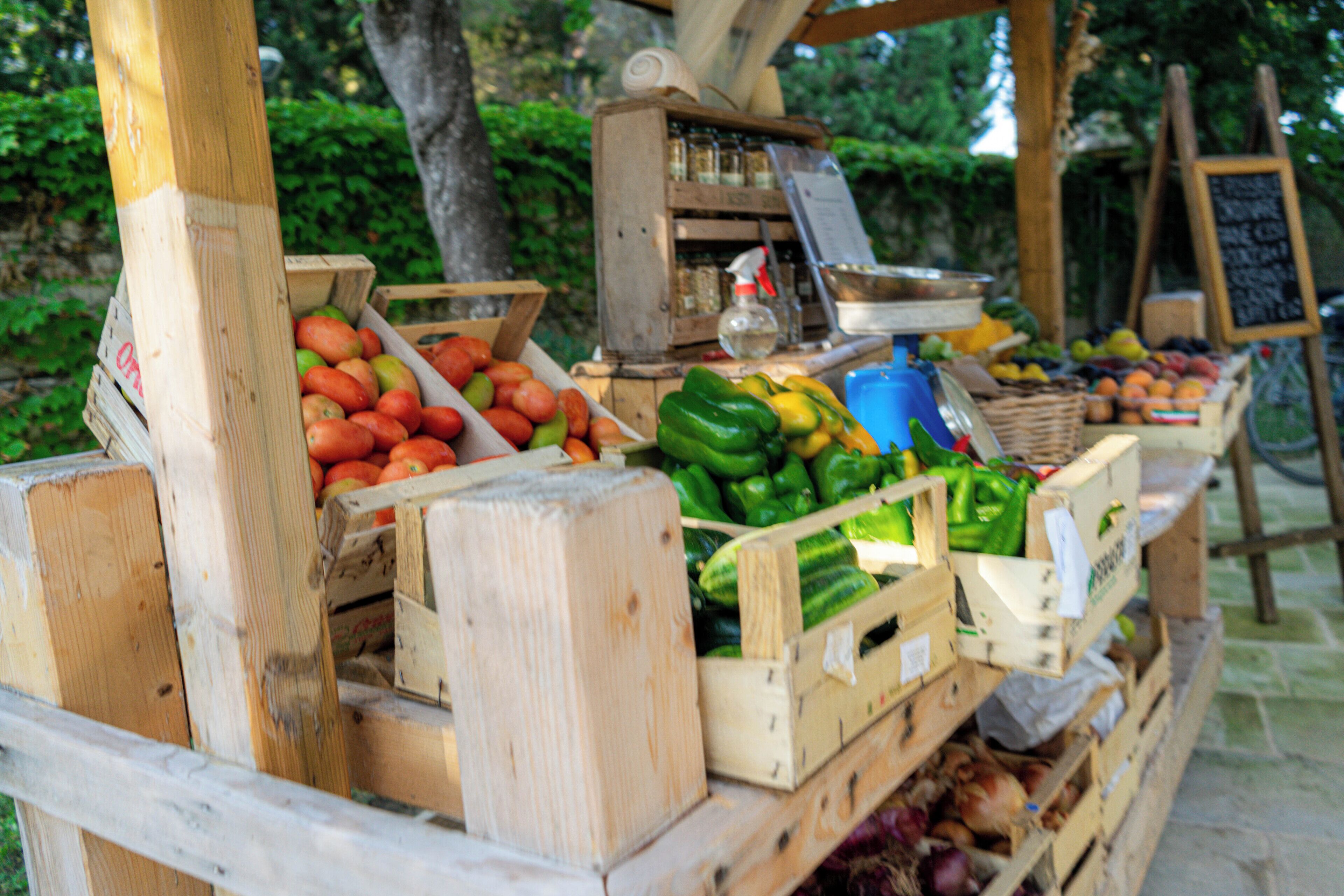 Een houten kist met een presentatie van vers fruit en groenten, waaronder tomaten, paprika's en uien.