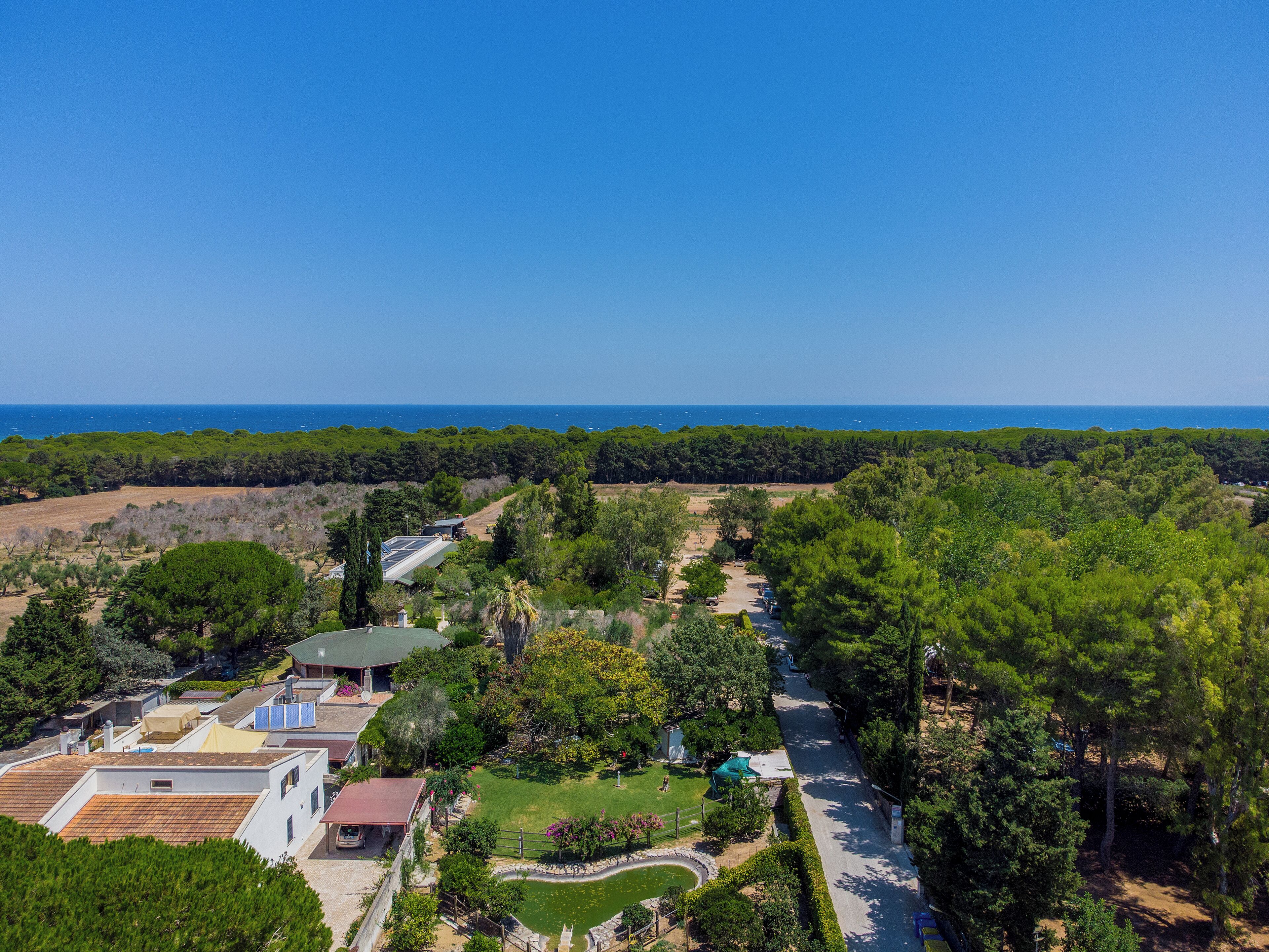 A residential area with a view of the sea, surrounded by greenery and trees.