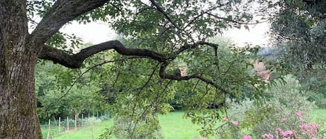 Enceinte de lâhĂ©bergement