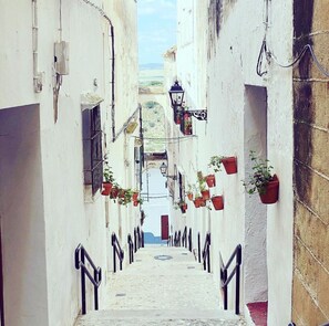 Terrain de l’hébergement 