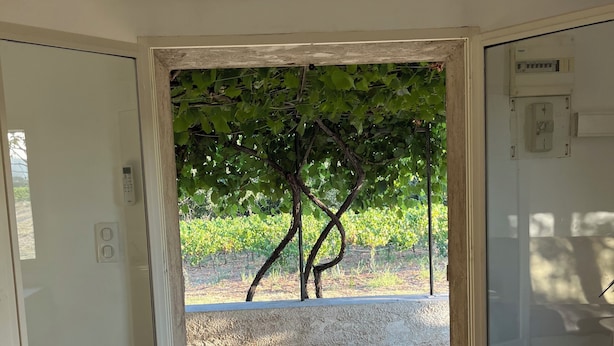 A room with a door leading to an outdoor area with a tree and a view of a vineyard. - Charmant Cabanon Provençal (Montfort-sur-Argens)