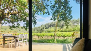 A wooden deck with a glass table and chairs, overlooking a vineyard.