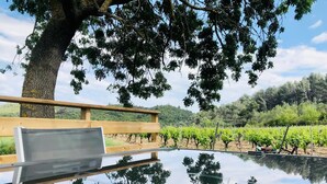 An infinity pool with a wooden deck and a bench, surrounded by a vineyard and trees.