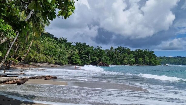 A beach with clear water, a sandy shore, and lush greenery in the background. - Kinkajoungalows (Drake Bay)