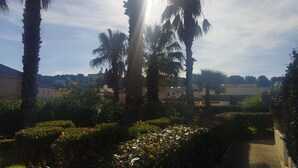 Un jardín con palmeras y setos cuidados.