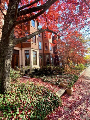 Grand Victorian in Charles Village