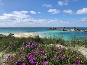 Beach - Le 101 - Plage du Dossen à Santec à 1.5 km (Santec)