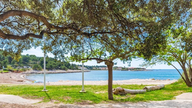 A coastal park with a sandy beach, grassy areas, and a large body of water.