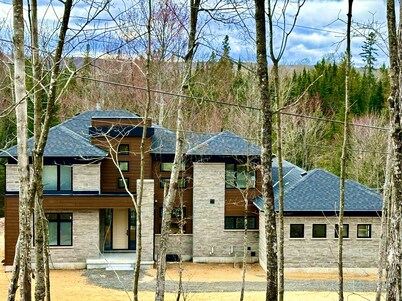 3000SQF 7 Beds Retreat Modern Cottage AC Fibre Wifi Muskoka Algonquin BBQ