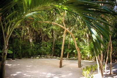 Magical Hotel In Akumal Beach