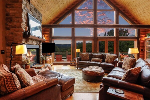 Smart TV, chimenea, reproductor de DVD y libros 