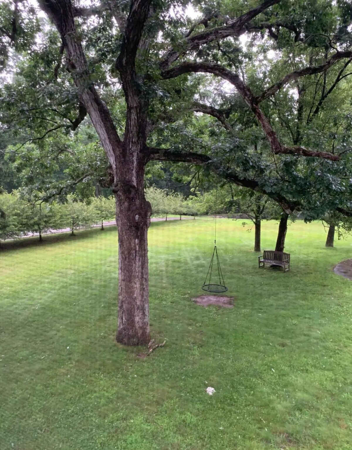 Imagen de perfil del propietario o de la propietaria