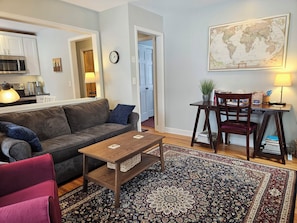 Smart TV, fireplace, books