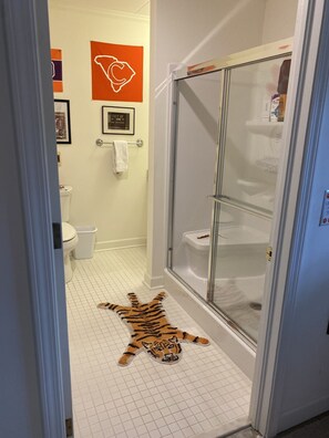 Shower, hair dryer, towels, soap - Apartment in Downtown Clemson. Just a few minutes to Campus & Football Stadium. (Clemson)