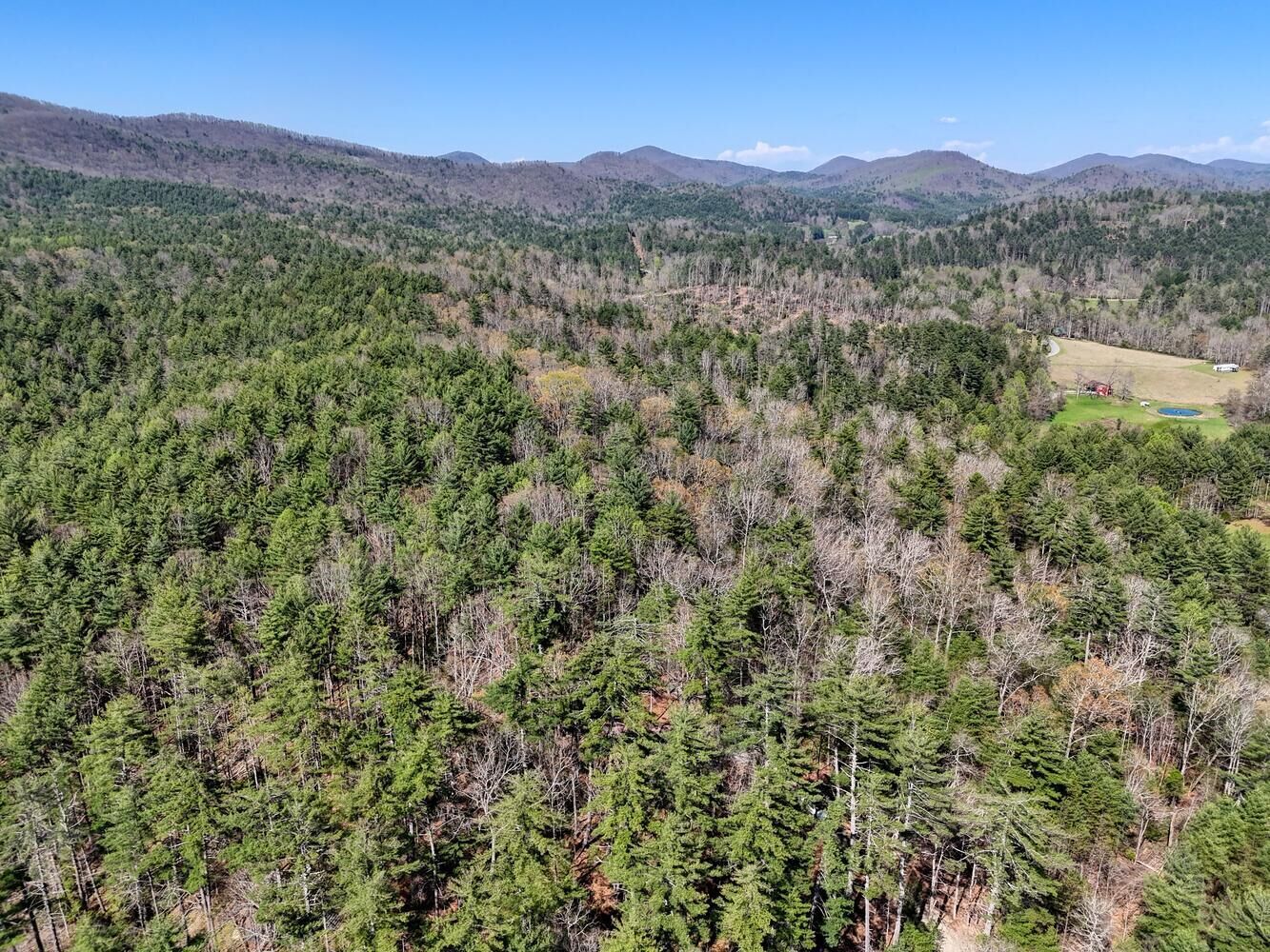 Tall Pines - A cozy cabin in North GA mountains w/hot tub and mountain views!