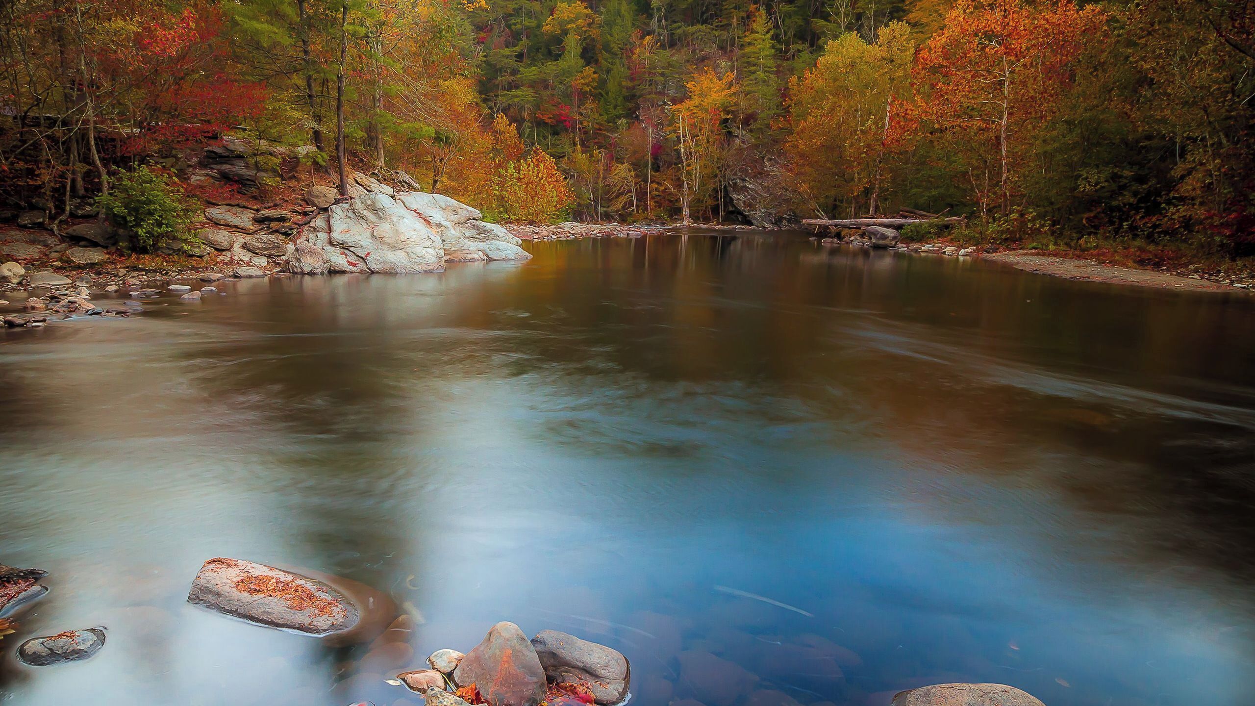 Ein Fluss mit klarem Wasser, umgeben von herbstlich gefärbten Bäumen und Felsen.
