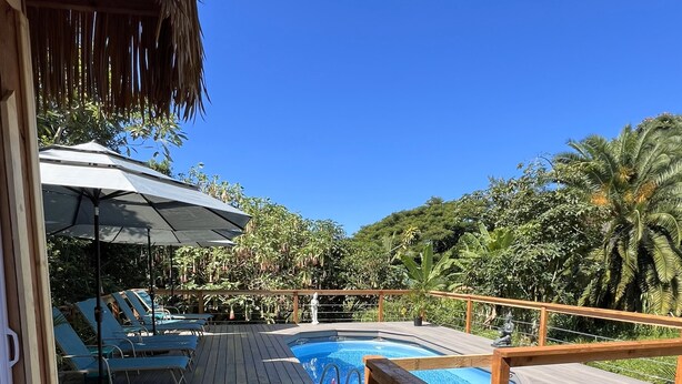 Pool - Manta Suite w/ ocean view and sleeping 6 --TA-154-746-2656-01 (Kealakekua)