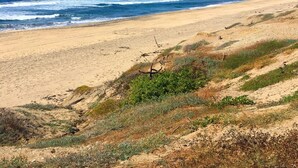 A beach with a clear sky, sandy shore, and a distant hill.
