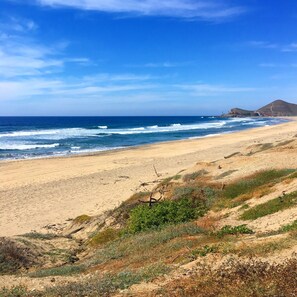 En la playa, camastros y toallas de playa 