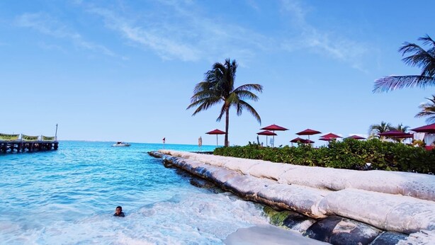 A beach with clear blue water, a palm tree, and red umbrellas.