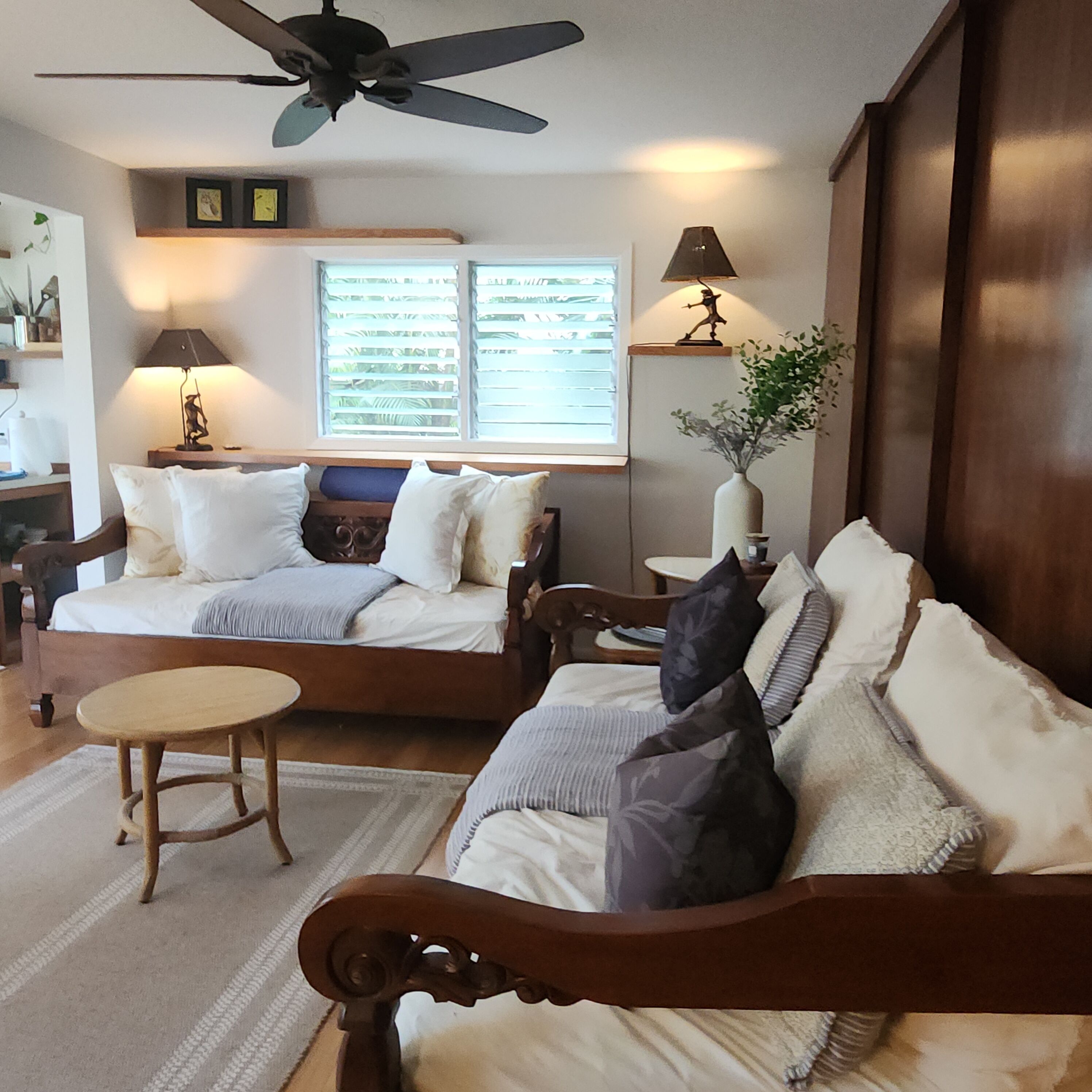 Smart TV, DVD player, books, video library