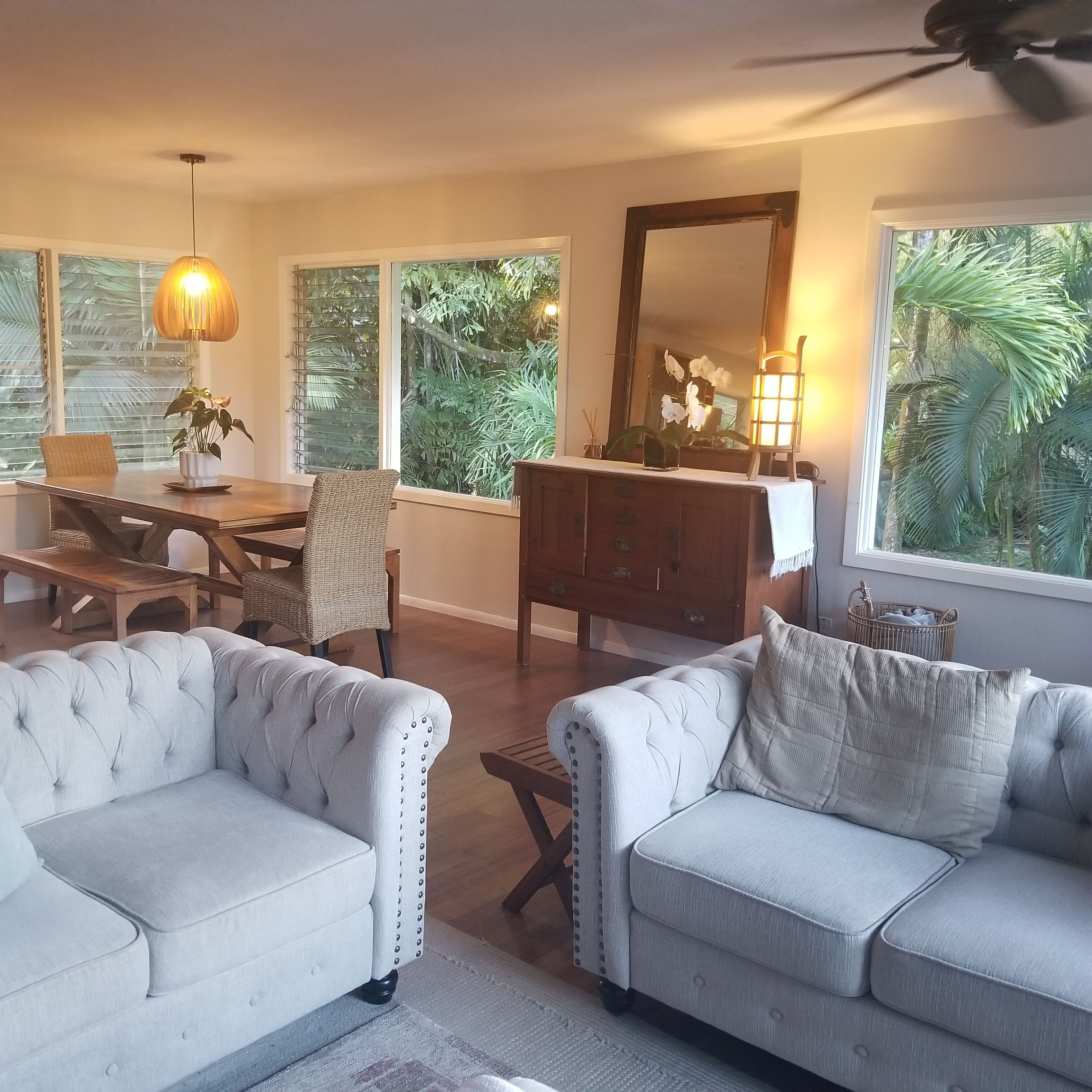 Smart TV, DVD player, books, video library