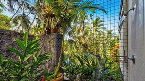 Un jardín tropical con diversas plantas, un muro de piedra y una verja metálica.