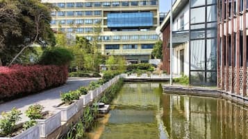 A courtyard with a water feature, surrounded by buildings with large windows and a modern design.