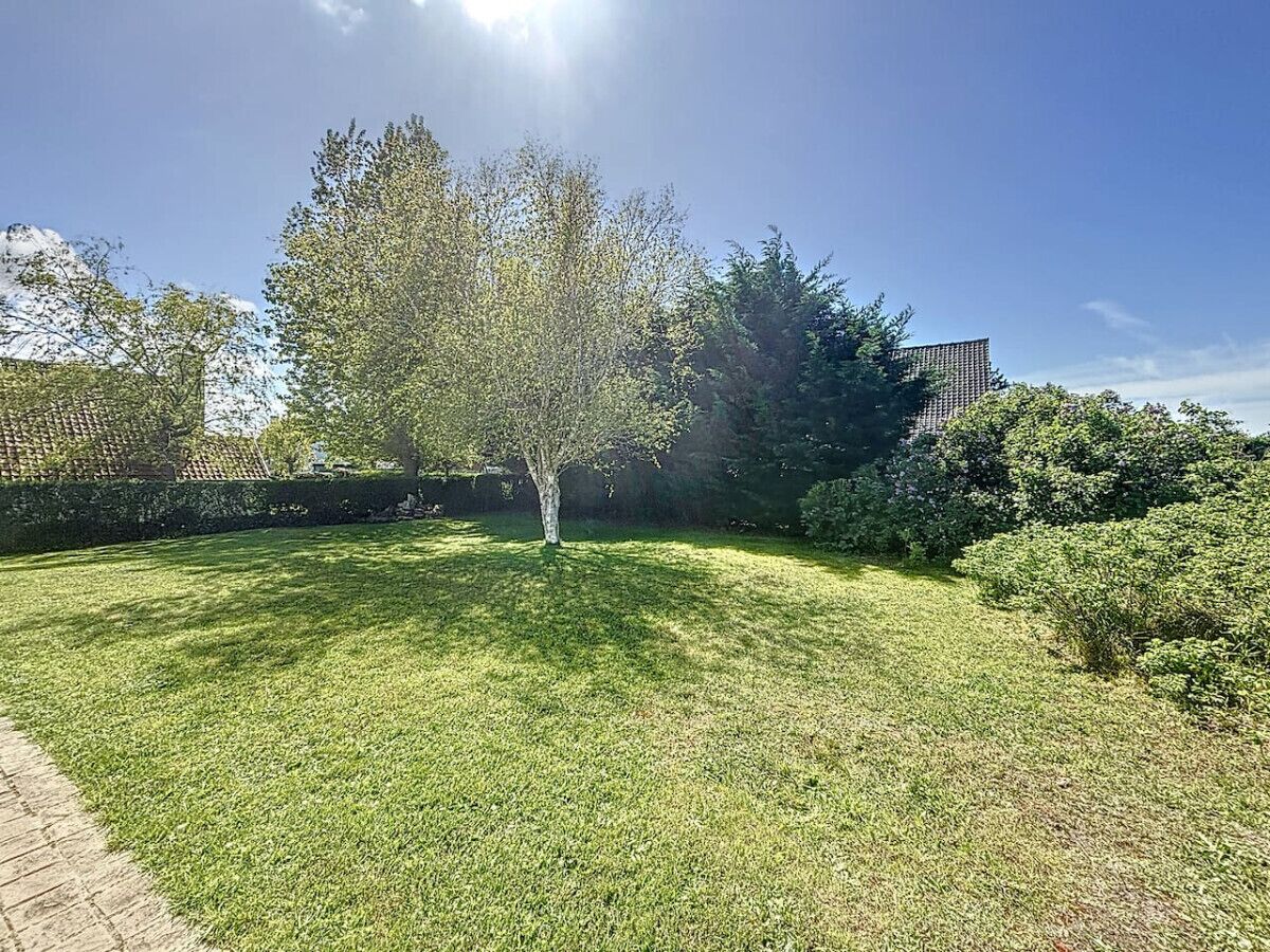 A well-maintained lawn with a single tree in the center, surrounded by a hedge and a brick wall.