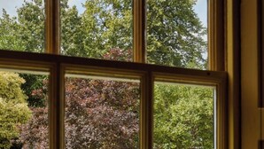 Une fenêtre donnant sur un jardin, avec une clôture en bois peinte en blanc et des arbres.