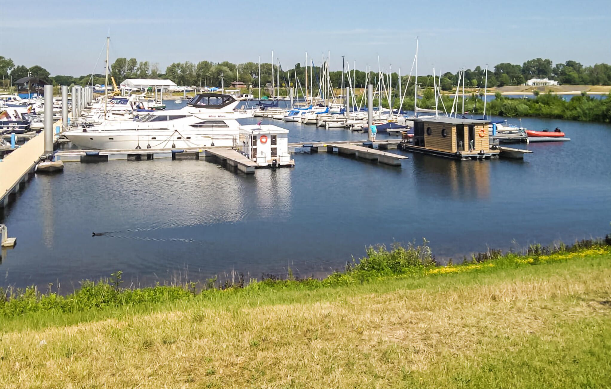 A marina with multiple boats docked, a small wooden building, and a grassy area in the foreground.