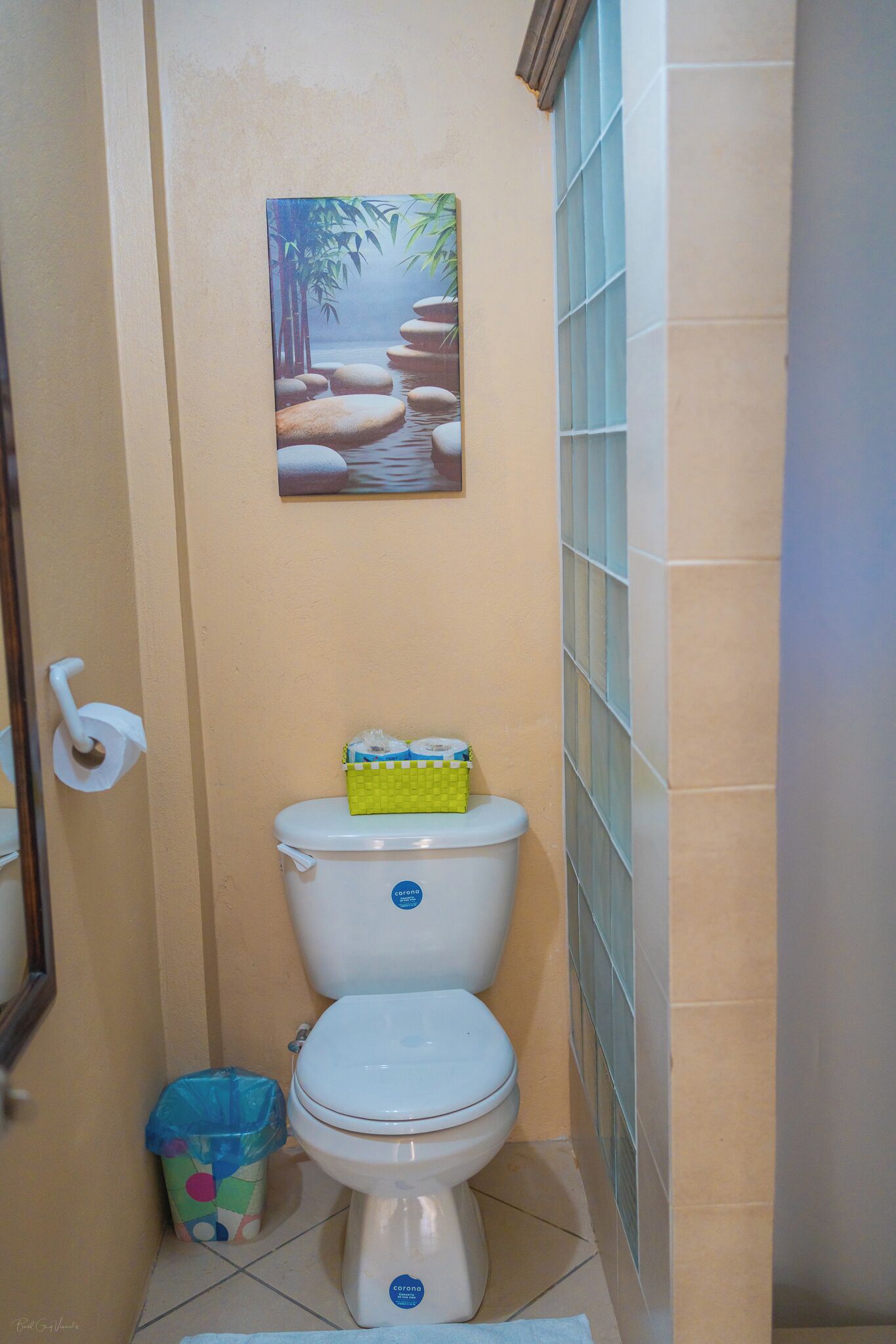 A bathroom with a toilet, a roll of toilet paper, a trash bin, and a painting of a serene landscape.