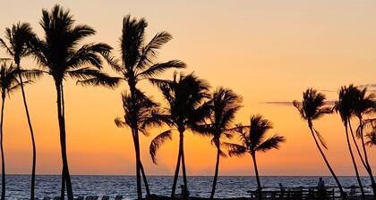 Fairway Villas @ Waikoloa Beach Resort Ground Floor Central A/C Golf Course View