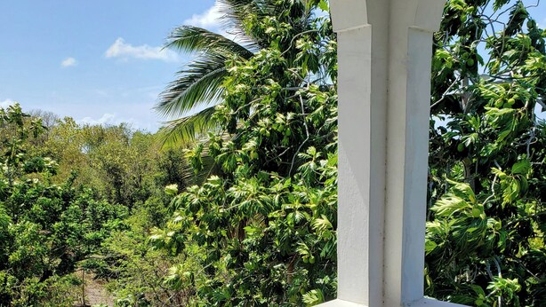 Un balcón con barandilla blanca y baldosas de diseño, que da a un jardín exuberante con varios árboles y arbustos.