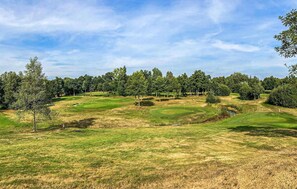 Golf - 2 bedroom gorgeous home in Voorthuizen (Voorthuizen)