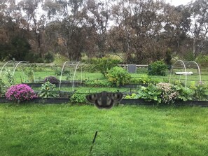 Property grounds - Entire Home. Wineries, Rivers, Fishing, High Country,  (Yea)