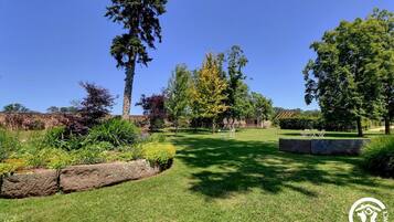 A well-maintained garden with a variety of trees and shrubs, a grassy lawn, and a stone wall.