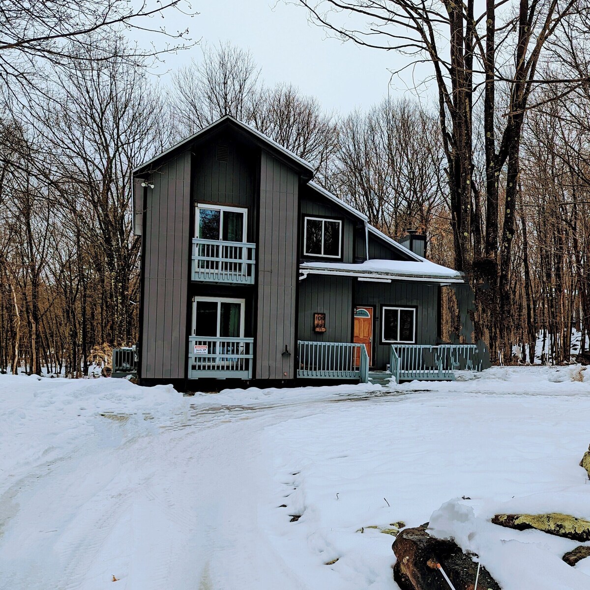 Imagen de perfil del propietario o de la propietaria