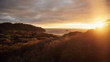 Superior Double Room | Beach/ocean view