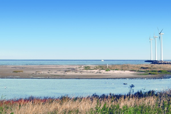 In StrandnÀhe, Angeln