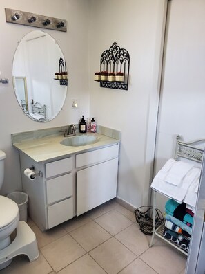 Shower, hair dryer, bidet, towels