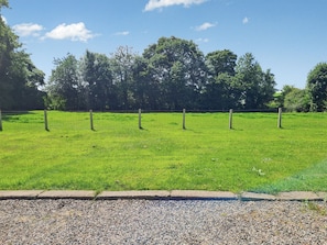 A grassy field with a fence and trees in the background.
